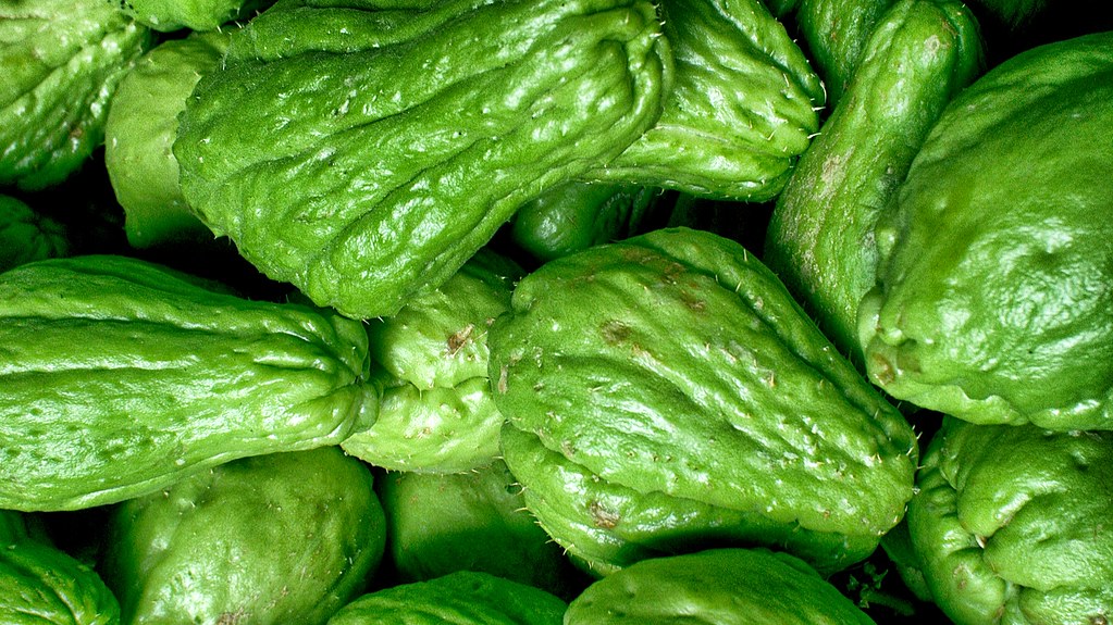 Essentiële aspecten van gezondheidszorg: van informatie tot innovatie